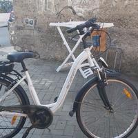 bici elettrica 