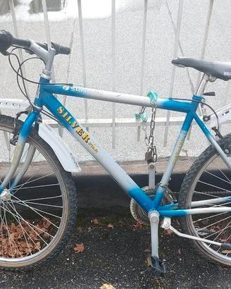 Bici 26 pollici per 21 velocità
