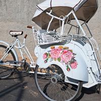 Risciò Becak Indonesiano 