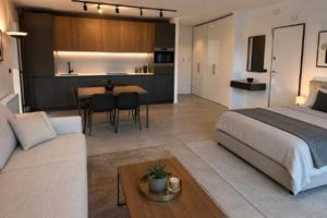 Eleganza e comfort: loft arredato con terrazzo