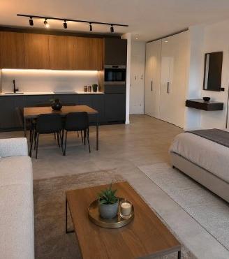 Eleganza e comfort: loft arredato con terrazzo