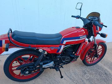 fantic motor sport strada 125