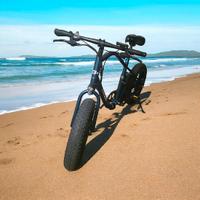 bici elettrica NILOX J3plus