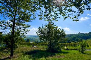 TER. RESIDENZIALE A CASTANA