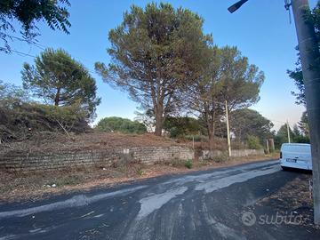 Terreno edificabile 1000 mq