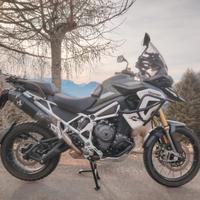 Triumph Tiger 1200 - 2024