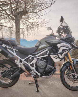 Triumph Tiger 1200 - 2024