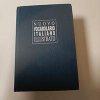 dizionario vintage della lingua italiana.