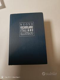 dizionario vintage della lingua italiana.