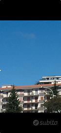 Appartamneto bi locale
