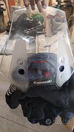 cupolino Kawasaki versis 1000   