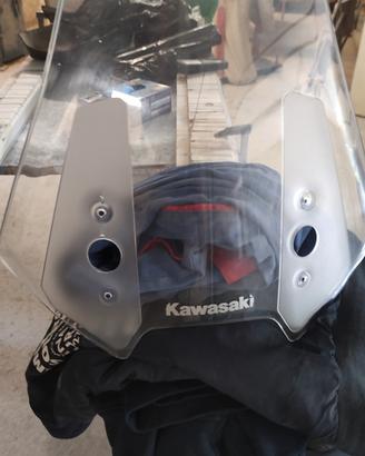 cupolino Kawasaki versis 1000   
