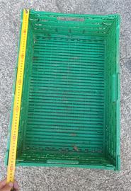 Cassette 70 circa in plastica richiudibili 