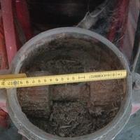 pellettatrice e tritalegna