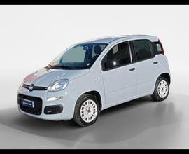 FIAT Panda III 2016 - Panda 1.2 Easy s&s 69cv my19