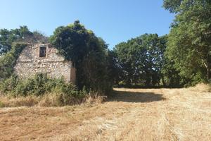 Rustico a Lugnano in Teverina