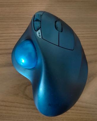Mouse Wireless Logitech M570