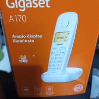 telefono cordless bianco 