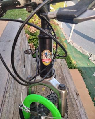 Bici 24 pollici