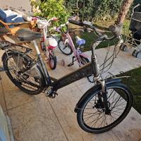 bicicletta elettrica bottecchia 