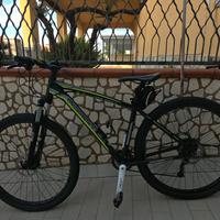 BICI ADRIATICA PESARO originale