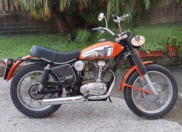 Ducati Scambler 350 cc targa Oro Asi