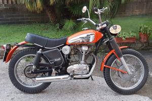 Ducati Scambler 350 cc targa Oro Asi