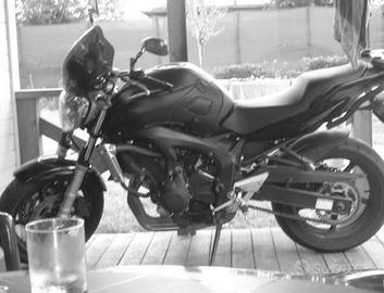 Yamaha FZ6 - 2005