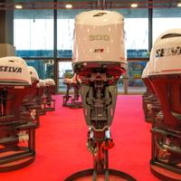 Selva Marine WHITE WHALE 300 E.F.I