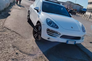Cayenne da vetrina 