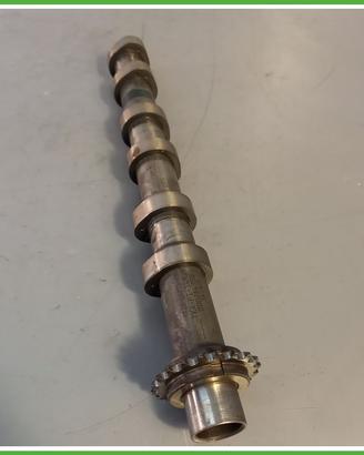 Albero a camme LAND ROVER DISCOVERY 3a Serie 276DT