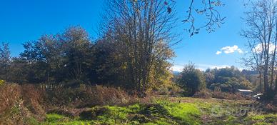 Terreno nel bosco