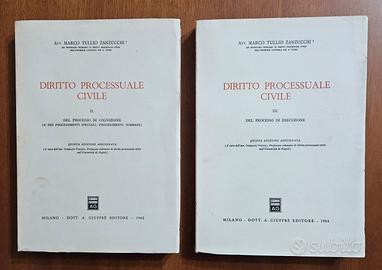 Diritto Processuale Civile. Vol. 2 e 3 - Zanzucchi
