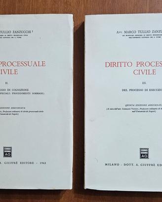 Diritto Processuale Civile. Vol. 2 e 3 - Zanzucchi