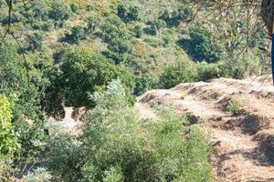 Terreno agricolo, 21.000 mq , Capo d'Orlando Naso