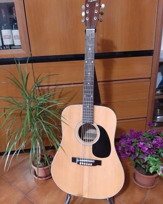 Chitarra acustica