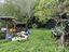 Immagine 21