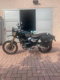 Triumph Scrambler 1200 Steve McQueen