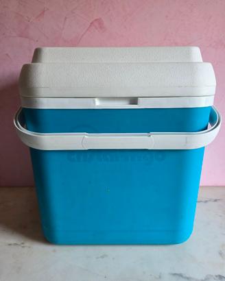 Frigo portatile borsa termica rigida 28x42x44h