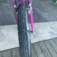 Bicicletta 20 pollici