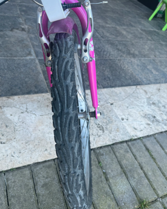 Bicicletta 20 pollici