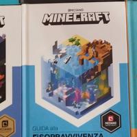 libri Minecraft