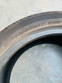 215/45 r17 91W Nexen