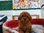 Immagine 2