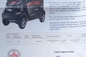 auto elettrica disabili 