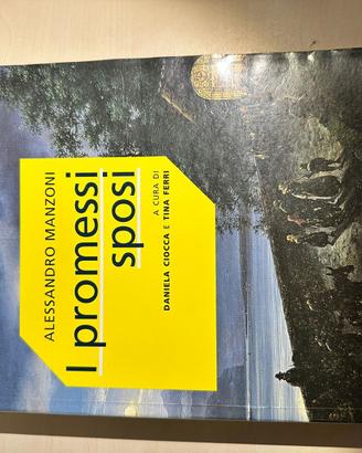 Mondadori - I promessi sposi + guida