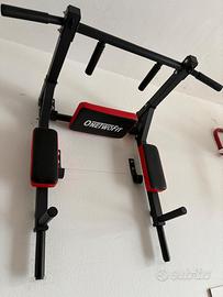 Sbarra per trazioni e dips reversibile