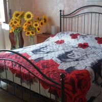 Ampio appartamento Ceriale centro