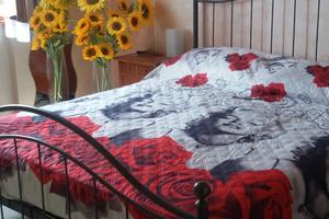 Ampio appartamento Ceriale centro