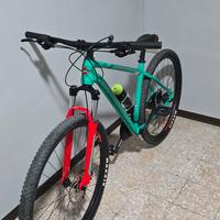 bicicletta MTB